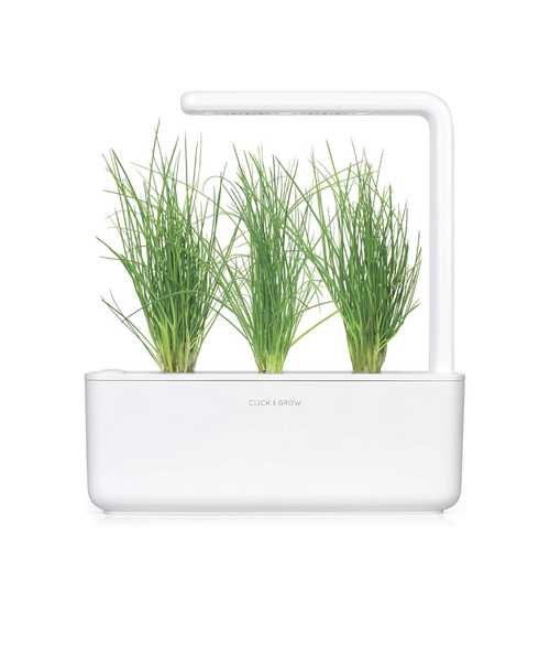 Click and Grow Confezione 3 Pods Smart Garden Erba Cipollina