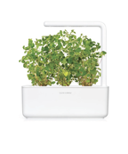 Click and Grow Confezione 3 Pods Smart Garden Origano