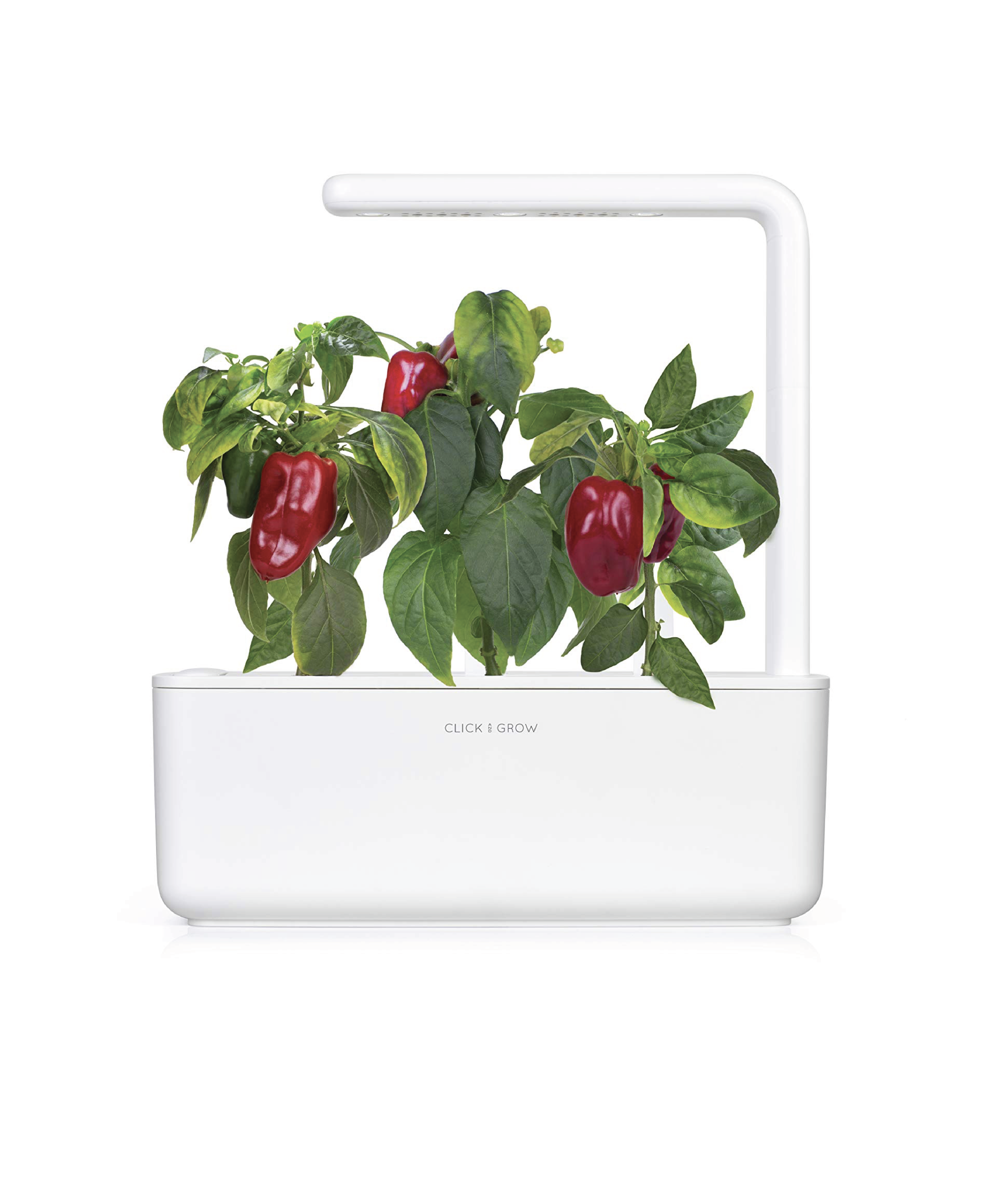 Click and Grow Confezione 3 Pods Smart Garden Peperoncino