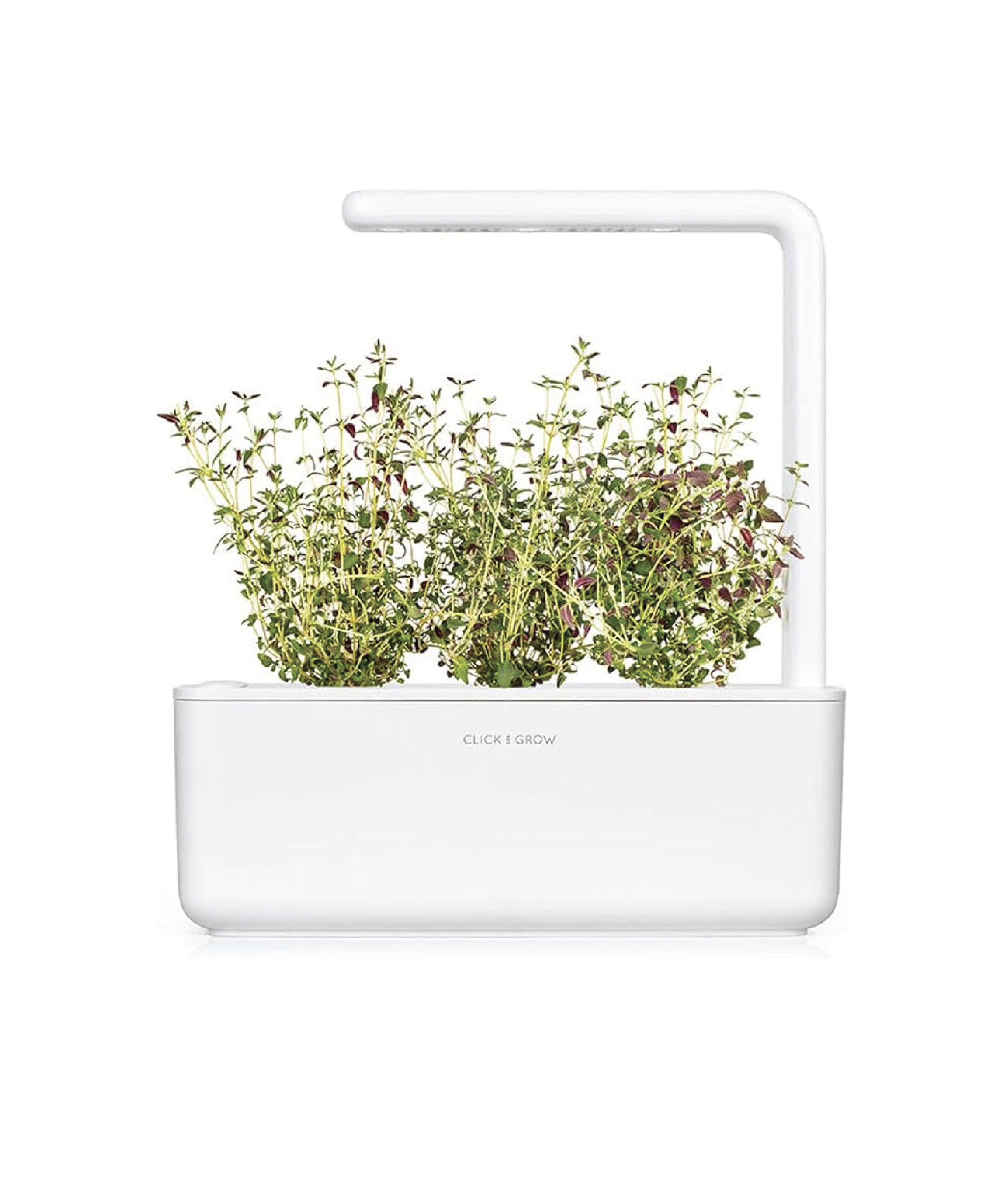 Click and Grow Confezione 3 Pods Smart Garden Timo